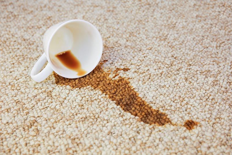 nettoyage tache café chocolat vin sur tapis